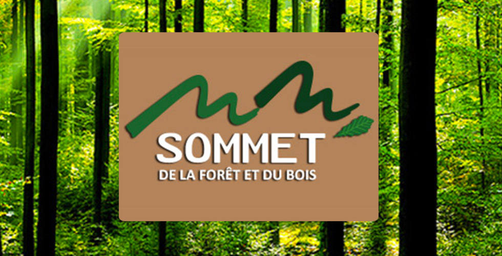 SOMMET DE LA FORET & DU BOIS - France - Mai 2014 -